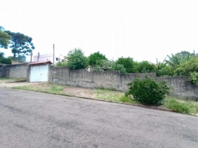 Terreno / Lote para Venda em Porto Alegre/RS Vila Ipiranga