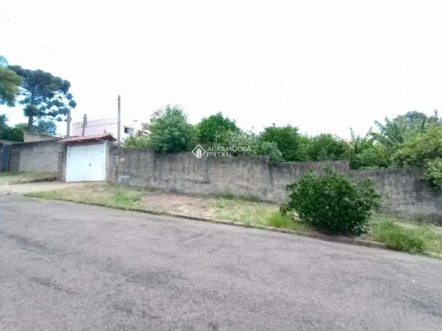 Terreno / Lote para Venda em Porto Alegre/RS Vila Ipiranga