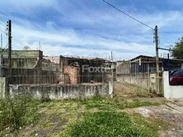 Terreno / Lote para Venda em Porto Alegre/RS Vila Ipiranga