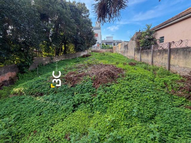 Terreno / Lote para Venda em Porto Alegre/RS Vila Ipiranga