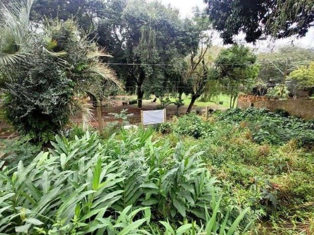 Terreno / Lote para Venda em Porto Alegre/RS Vila Ipiranga