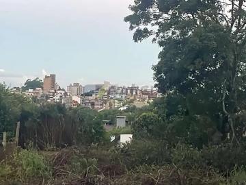 Terreno / Lote para Venda em Porto Alegre/RS Vila Ipiranga