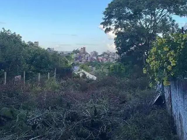 Terreno / Lote para Venda em Porto Alegre/RS Vila Ipiranga