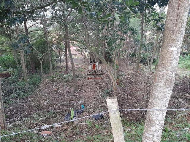 Terreno / Lote para Venda em Porto Alegre/RS Aberta dos Morros
