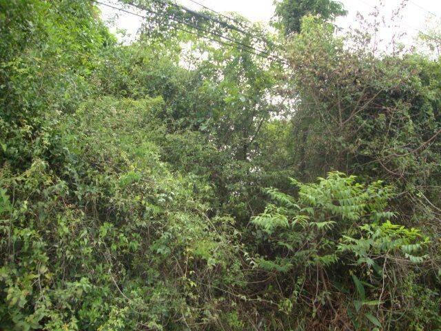 Terreno / Lote para Venda em Porto Alegre/RS Agronomia