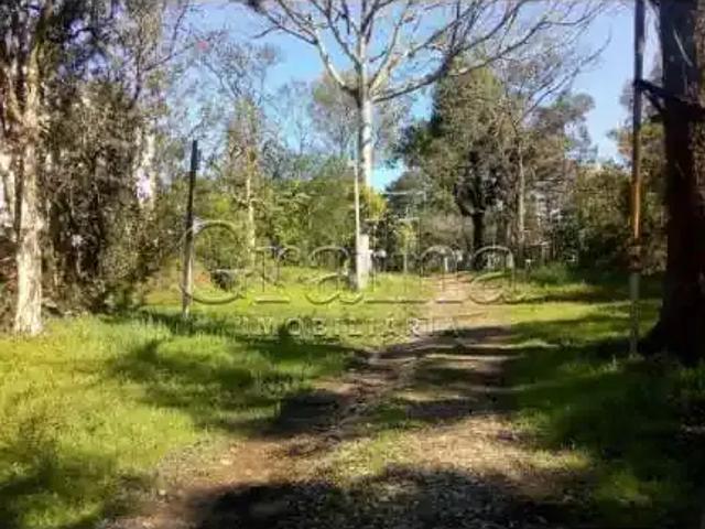 Terreno / Lote para Venda em Porto Alegre/RS Alto Petrópolis
