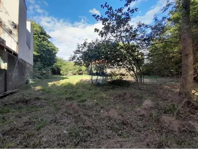 Terreno / Lote para Venda em Porto Alegre/RS Arquipélago