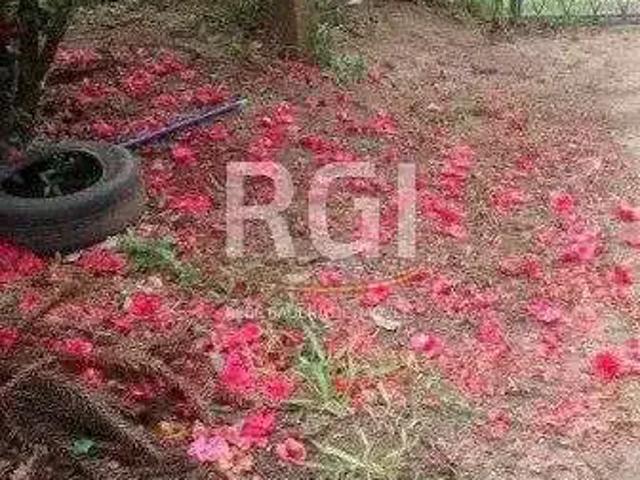 Terreno / Lote para Venda em Porto Alegre/RS Belém Velho
