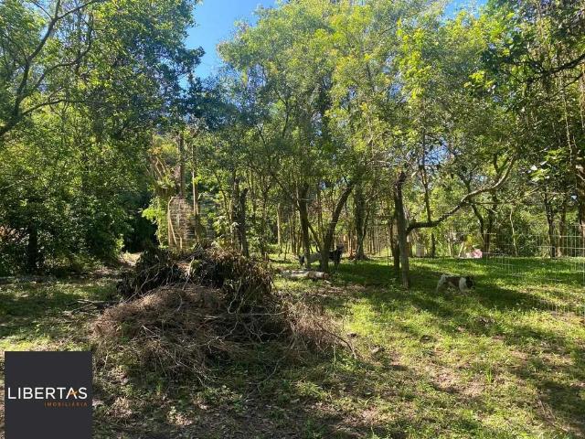 Terreno / Lote para Venda em Porto Alegre/RS Belém Velho