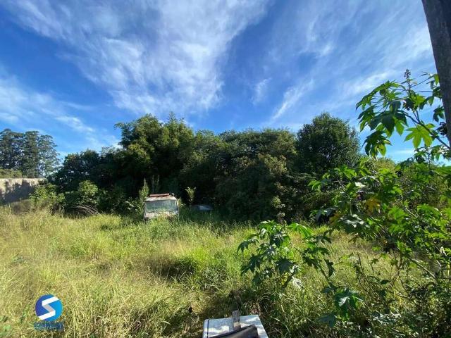Terreno / Lote para Venda em Porto Alegre/RS Belém Velho