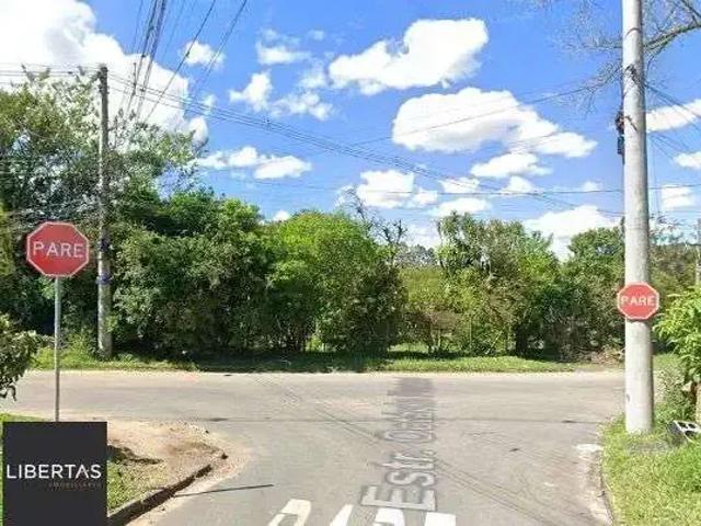 Terreno / Lote para Venda em Porto Alegre/RS Belém Velho