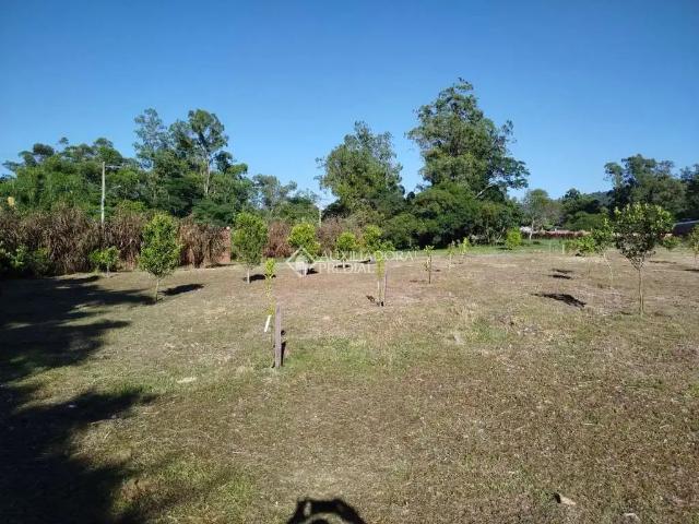 Terreno / Lote para Venda em Porto Alegre/RS Belém Velho 1 Quartos