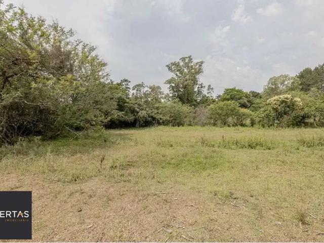 Terreno / Lote para Venda em Porto Alegre/RS Belém Velho