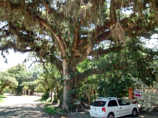 Terreno / Lote para Venda em Porto Alegre/RS Belém Novo