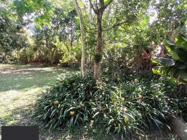 Terreno / Lote para Venda em Porto Alegre/RS Belém Novo