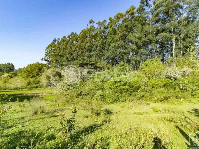 Terreno / Lote para Venda em Porto Alegre/RS Belém Novo
