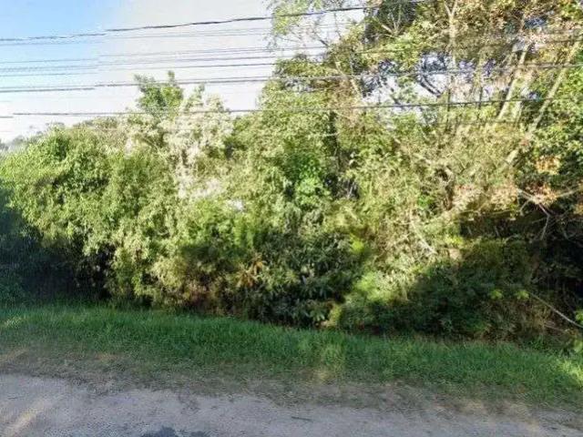 Terreno / Lote para Venda em Porto Alegre/RS Belém Novo