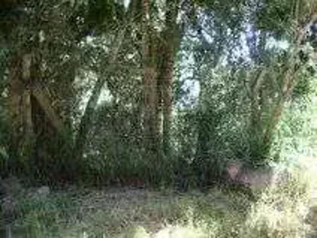 Terreno / Lote para Venda em Porto Alegre/RS Belém Novo