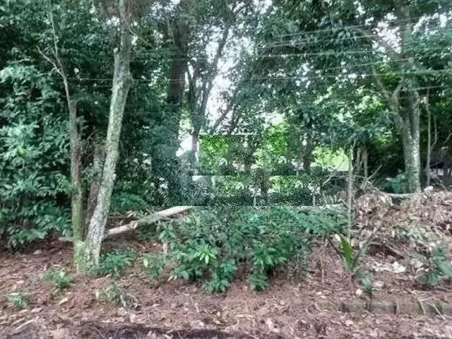 Terreno / Lote para Venda em Porto Alegre/RS Camaquã