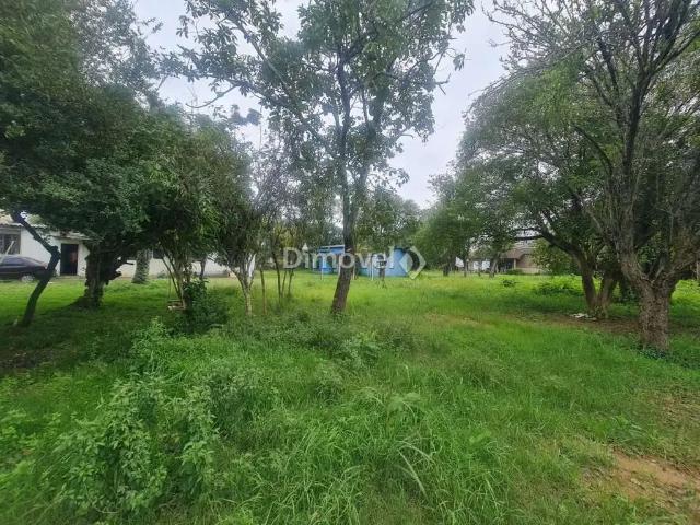 Terreno / Lote para Venda em Porto Alegre/RS Camaquã