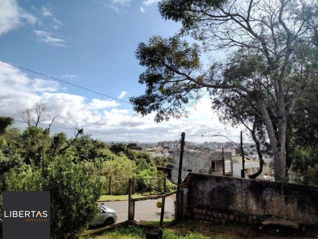 Terreno / Lote para Venda em Porto Alegre/RS Camaquã