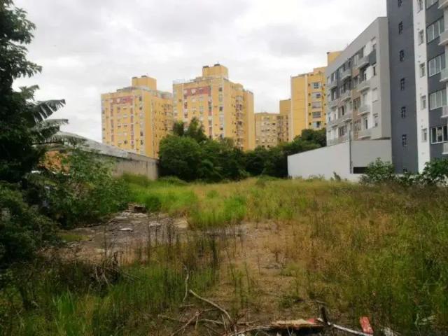 Terreno / Lote para Venda em Porto Alegre/RS Camaquã