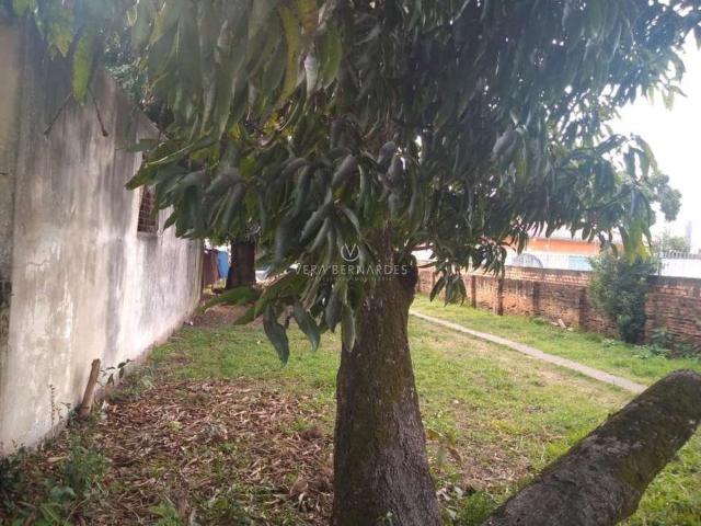 Terreno / Lote para Venda em Porto Alegre/RS Camaquã