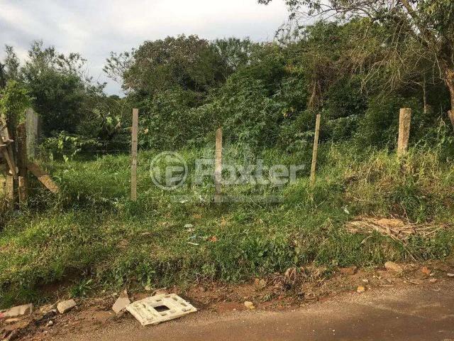 Terreno / Lote para Venda em Porto Alegre/RS Campo Novo