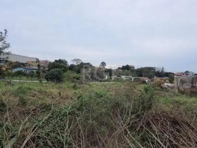 Terreno / Lote para Venda em Porto Alegre/RS Campo Novo