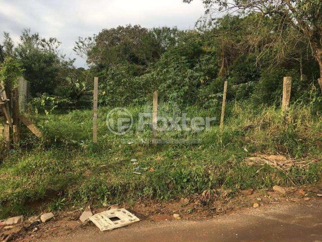 Terreno / Lote para Venda em Porto Alegre/RS Campo Novo