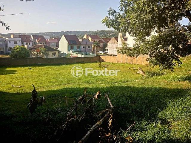 Terreno / Lote para Venda em Porto Alegre/RS Campo Novo