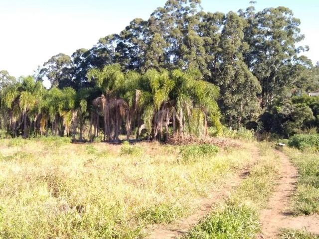 Terreno / Lote para Venda em Porto Alegre/RS Campo Novo