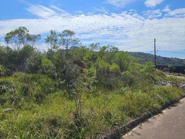Terreno / Lote para Venda em Porto Alegre/RS Campo Novo
