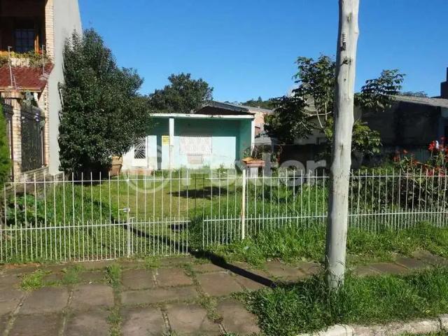Terreno / Lote para Venda em Porto Alegre/RS Campo Novo