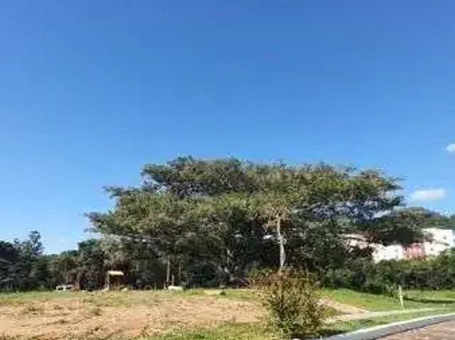 Terreno / Lote para Venda em Porto Alegre/RS Campo Novo