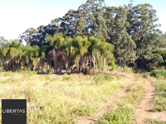 Terreno / Lote para Venda em Porto Alegre/RS Campo Novo