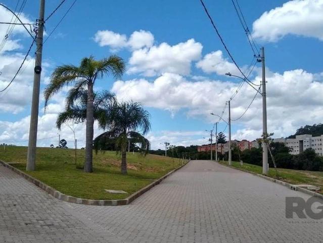 Terreno / Lote para Venda em Porto Alegre/RS Campo Novo