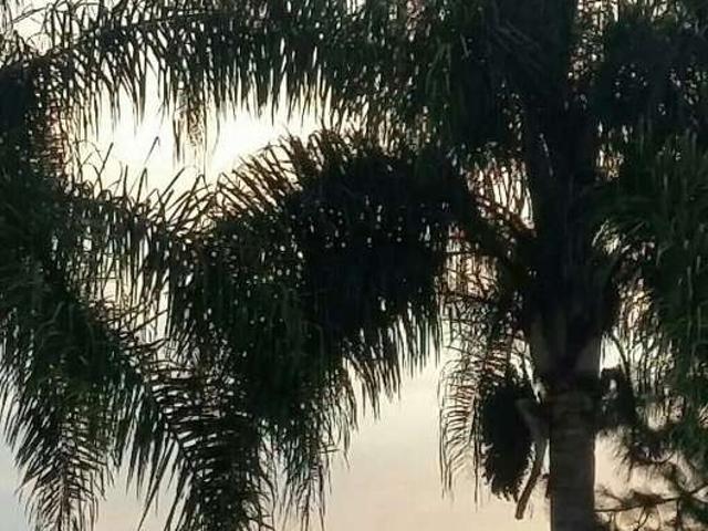 Terreno / Lote para Venda em Porto Alegre/RS Belém Novo
