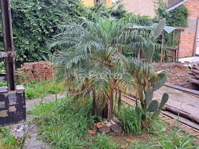 Terreno / Lote para Venda em Porto Alegre/RS Costa e Silva