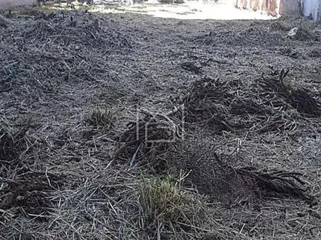 Terreno / Lote para Venda em Porto Alegre/RS Cristo Redentor