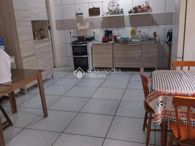 Terreno / Lote para Venda em Porto Alegre/RS Cristo Redentor 5 Quartos