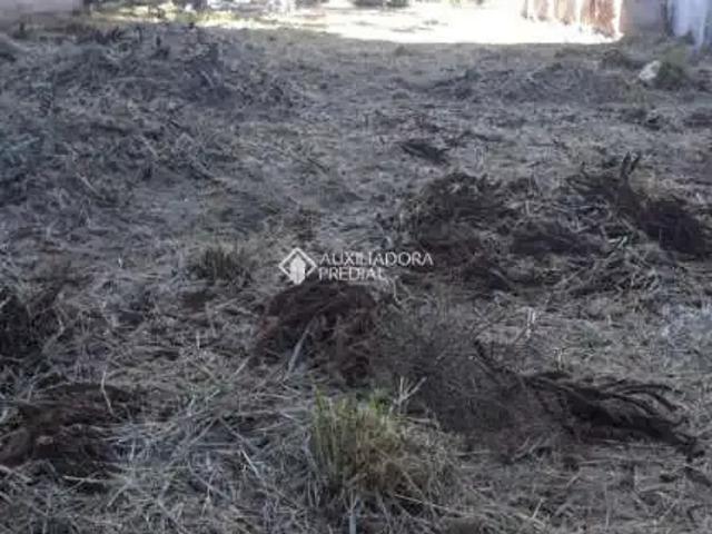 Terreno / Lote para Venda em Porto Alegre/RS Cristo Redentor