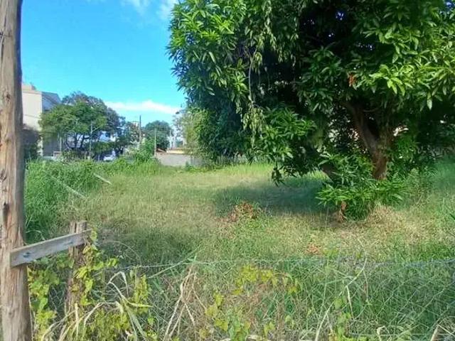 Terreno / Lote para Venda em Porto Alegre/RS Cristo Redentor