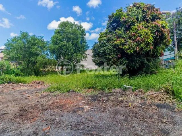Terreno / Lote para Venda em Porto Alegre/RS Cristo Redentor