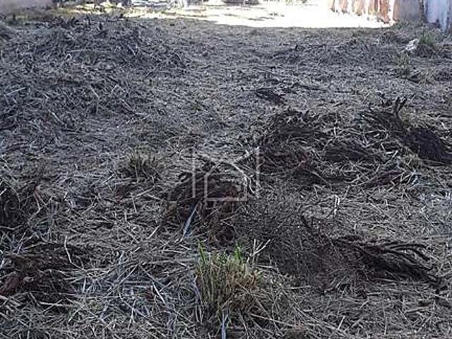 Terreno / Lote para Venda em Porto Alegre/RS Cristo Redentor