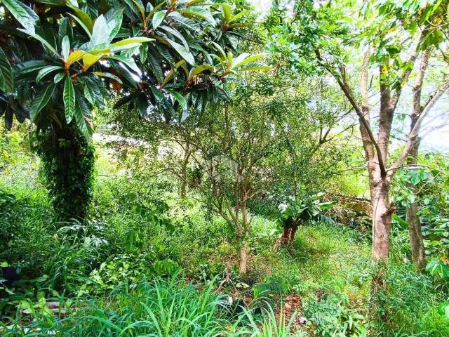 Terreno / Lote para Venda em Porto Alegre/RS Cristal