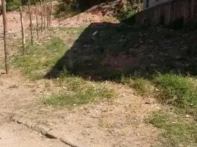 Terreno / Lote para Venda em Porto Alegre/RS Cristal