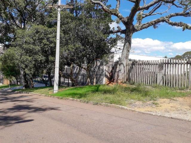 Terreno / Lote para Venda em Porto Alegre/RS Cristal