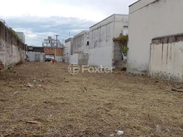 Terreno / Lote para Venda em Porto Alegre/RS Cristal