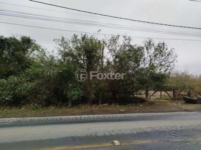 Terreno / Lote para Venda em Porto Alegre/RS Espírito Santo